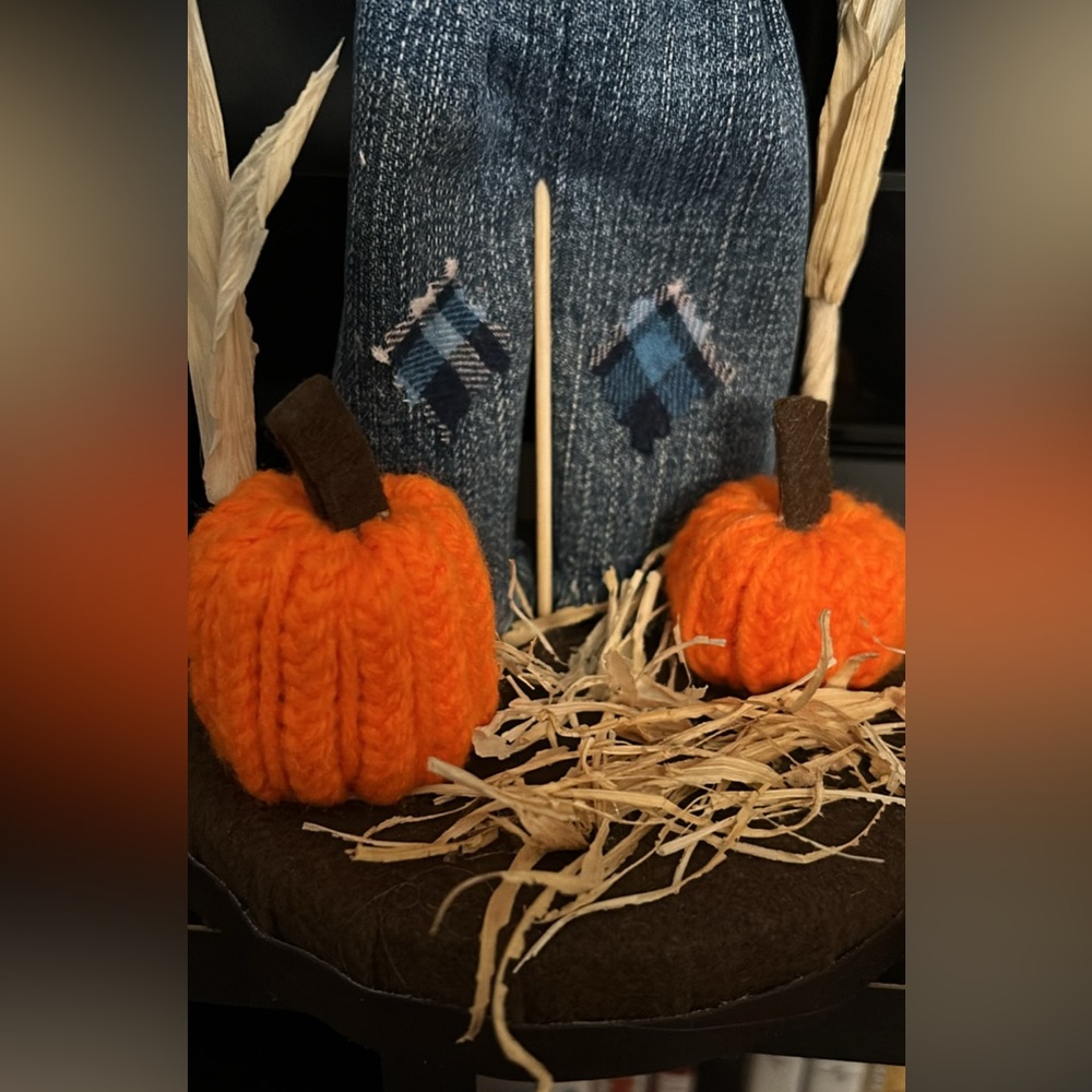 Homemade Scarecrow - Picture 3 of 4